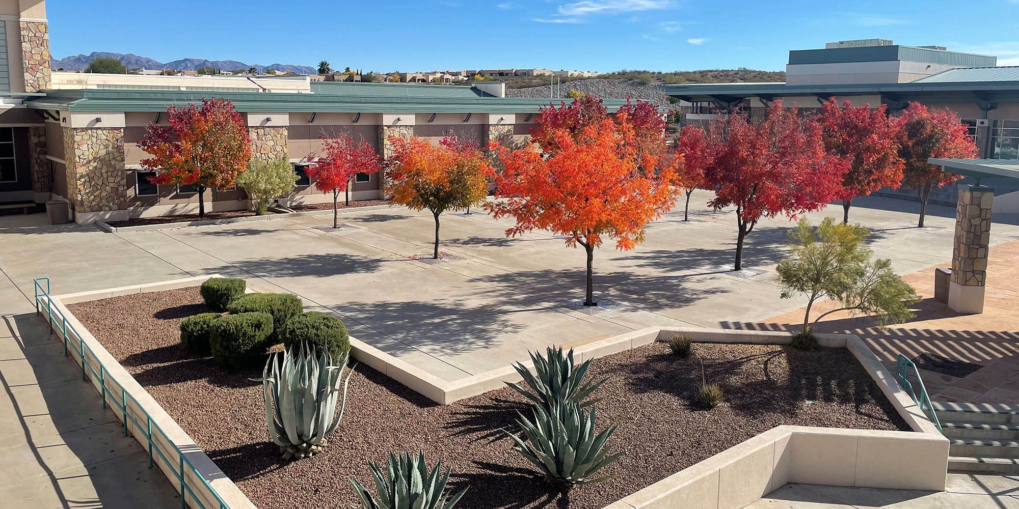 East Mesa courtyard in autumn splendor by Steven Osborn